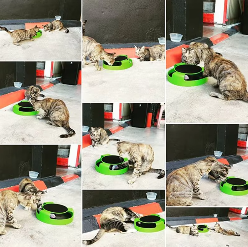 Interaktives Katzenspielzeug mit Maus – Spielzeug mit Beweglicher Maus für Katzen