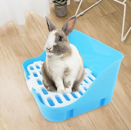 Katzentoilette Aus Kunststoff mit Belüftungsgitter – Praktisch und Einfach zu Reinigen