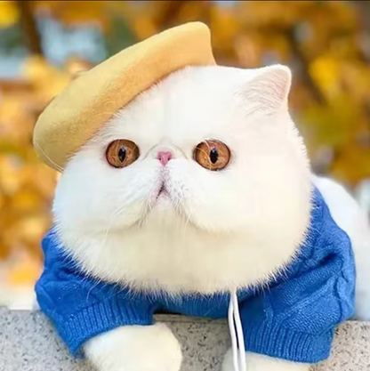 Filz Baret für Haustiere In 3 Farben – Modisches Accessoire für Hunde und Katzen