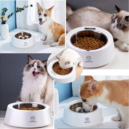 Automatischer Futterspender für Hunde und Katzen – Interaktive Futterschale mit Digitalanzeige