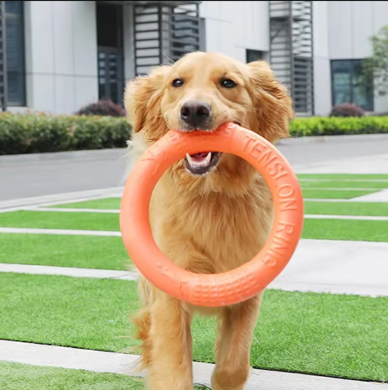 Robuster Wurf- Und Beißring – Interaktives Hundespielzeug Für Aktiven Spielspaß