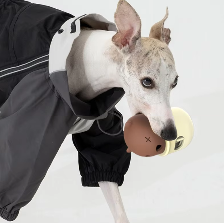 Interaktives Hundespielzeug – Bärenform mit Klickmechanismus für Hunde