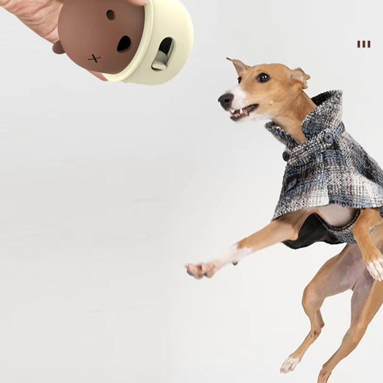 Interaktives Hundespielzeug – Bärenform mit Klickmechanismus für Hunde