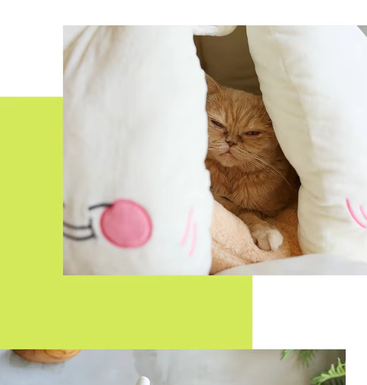 Kuschelige Katzenhöhle – Weiches Knoblauch-design Bett Für Katzen  Kleine Hunde