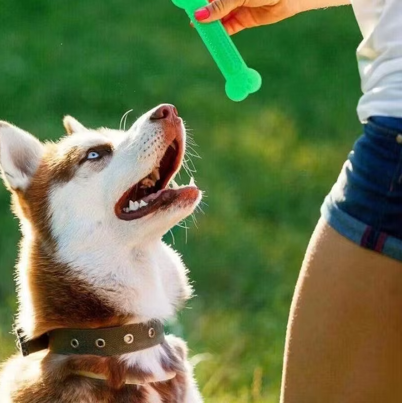 Zahnreinigender Kauknochen Für Hunde – Robustes Beißspielzeug Aus Gummi