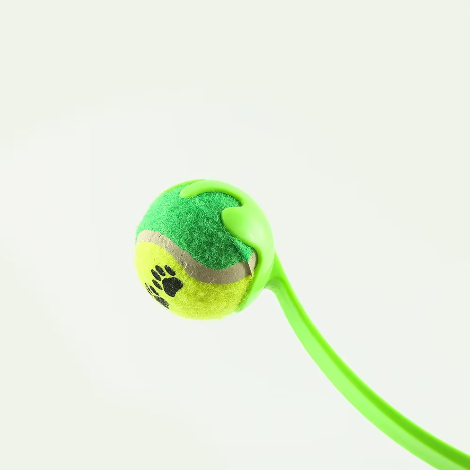 Hundespielzeug Wurfspiel für Hunde mit Ballwurf Stab