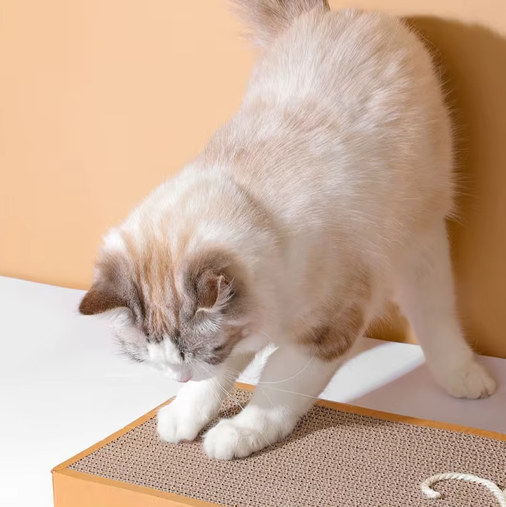 Katzen Kratzbrett – Robuste Kratzmatte Mit Spielmotiv