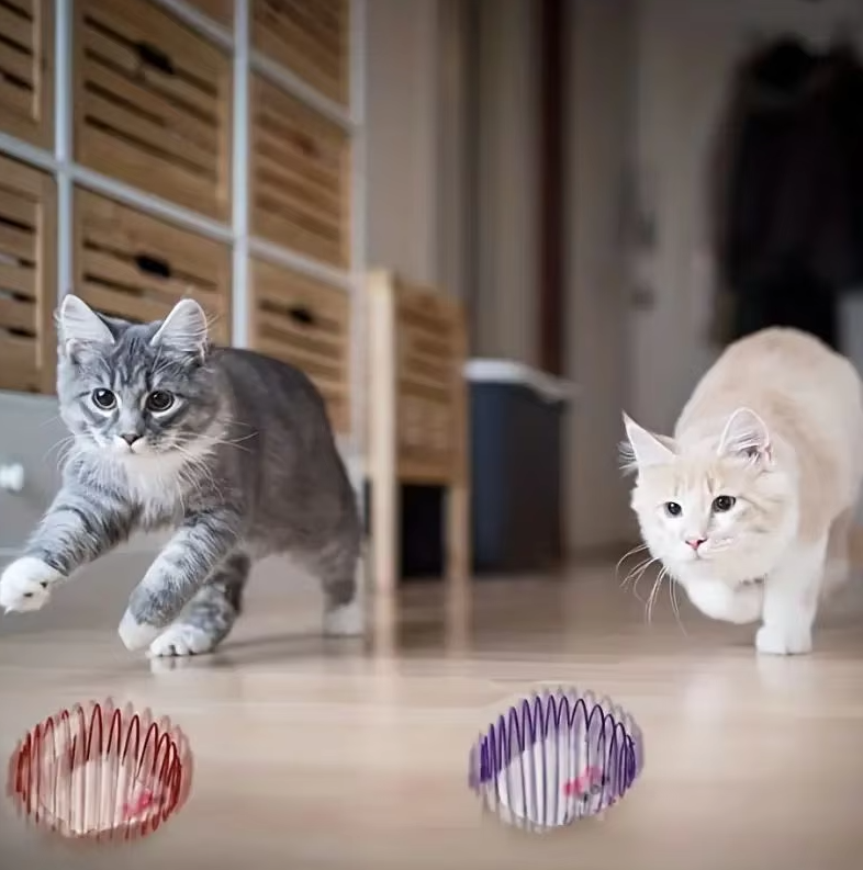 Mäuse In Spiralkäfig – Beutespiel Für Katzen