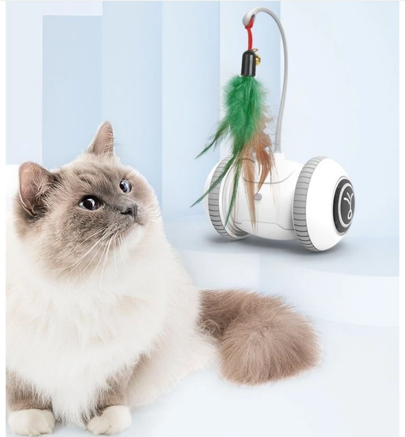 Interaktives Katzenspielzeug mit Feder – Roboter Spielzeug für Katzen