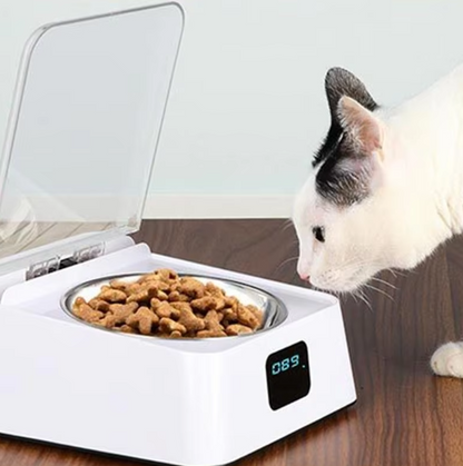 Automatischer Futterspender Für Katzen Mit Digitalanzeige Und Deckel