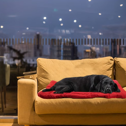 Reisekissen für Hunde – Weiches  Waschbares Hundebett für Auto Sofa Unterwegs