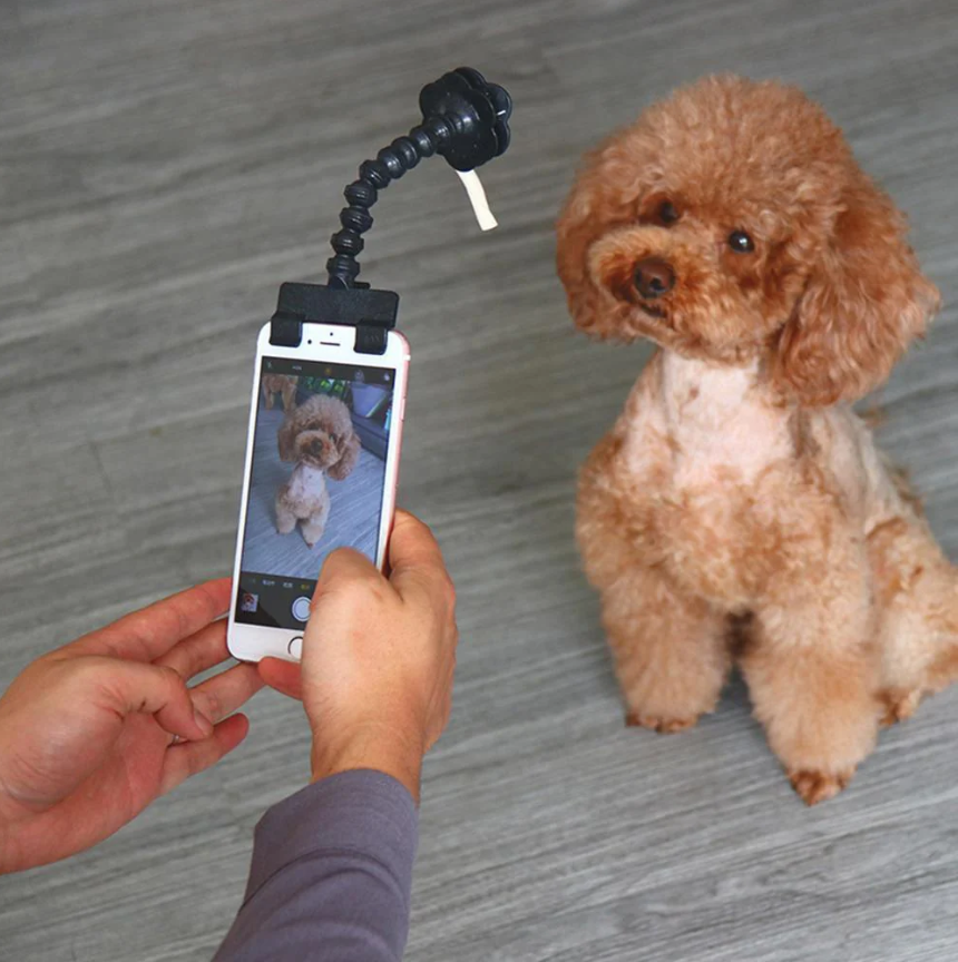 Haustier-Selfie-Stick mit Leckerli-Halter