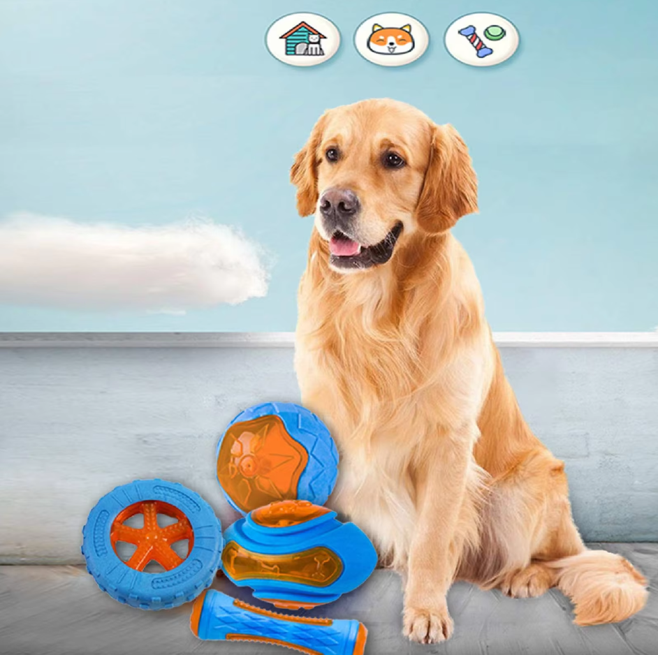 Robustes Hundespielzeug-Set – Interaktive Beiß-  Quietschspielzeuge