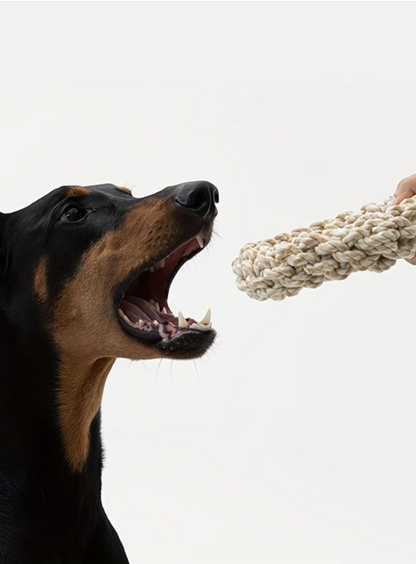 Robuster Kauring Für Hunde – Natürliches Seilspielzeug Für Gesundes Zahnfleisch