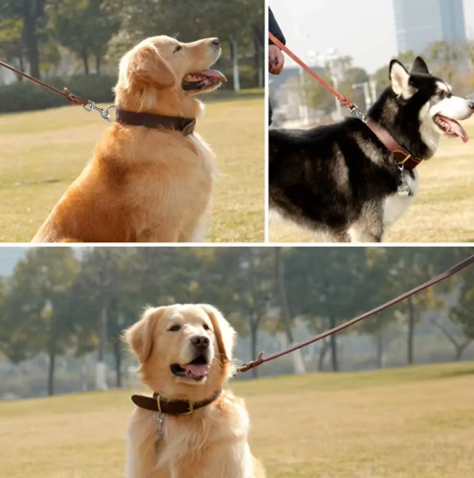 Leder Hundeleine mit Goldener Karabiner – Robustes und Elegantes Hundezubehör