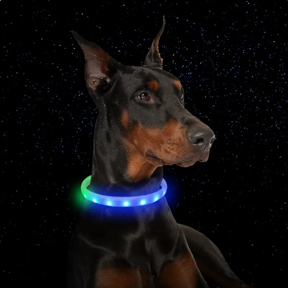 LED-Leuchthalsband für Hunde mit USB-Aufladung und Mehreren Farbmodi – Sichtbarkeit Bei Nacht