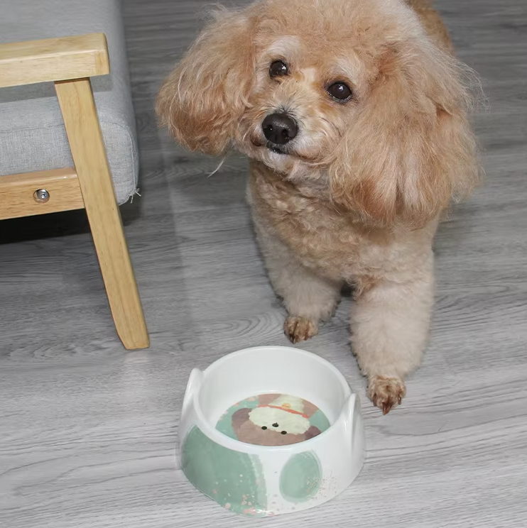 Hundeschüssel Keramik mit Hundebild – Futter- und Wasserschale für Hunde