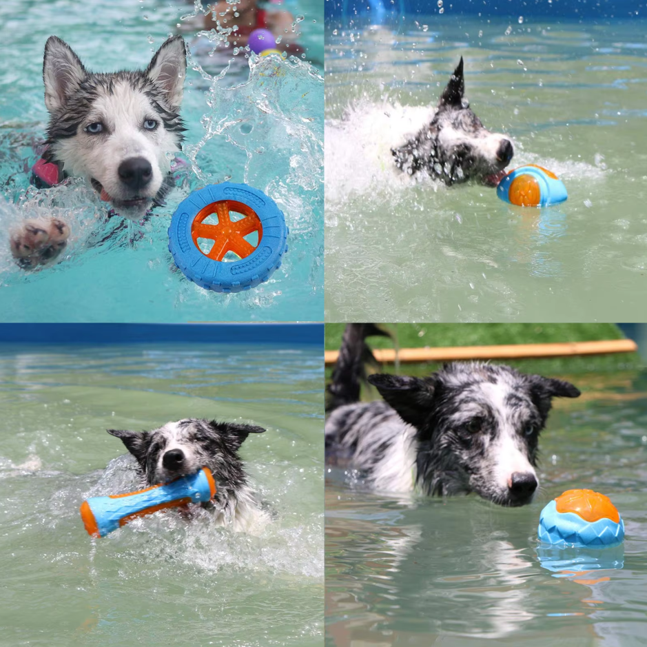 Robustes Hundespielzeug-Set – Interaktive Beiß-  Quietschspielzeuge