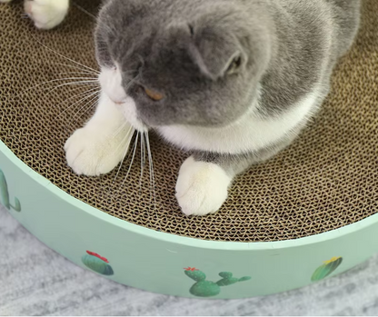 Katzenschleife Aus Karton mit Kaktusdesign – Kratzbrett im Modernen Stil
