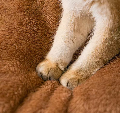 Gemütliches Haustierhaus – Weiches  Wärmendes Katzen- und Hundebett mit Kuscheligem Design