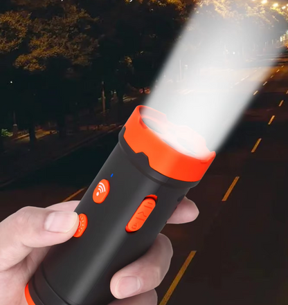 Hundetraining Gerät Mit Licht- Und Schallfunktion