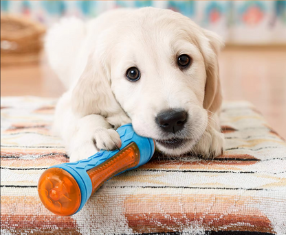 Robustes Hundespielzeug-Set – Interaktive Beiß-  Quietschspielzeuge