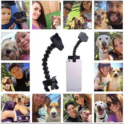 Haustier-Selfie-Stick mit Leckerli-Halter