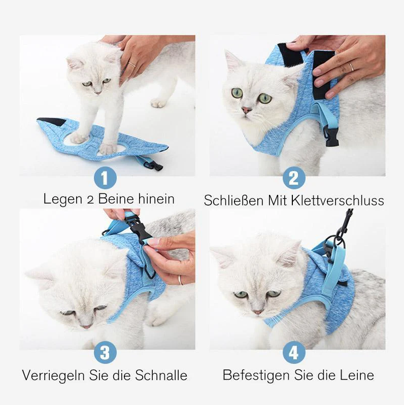 Katzen-Geschirr mit Leine