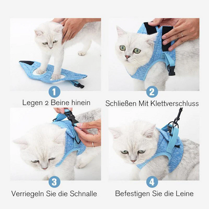 Katzen-Geschirr mit Leine