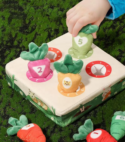 Interaktives Katzenspielzeug – Bunte Fischspielzeuge Im Set Zum Kauen und Spielen