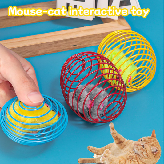 Mäuse In Spiralkäfig – Beutespiel Für Katzen