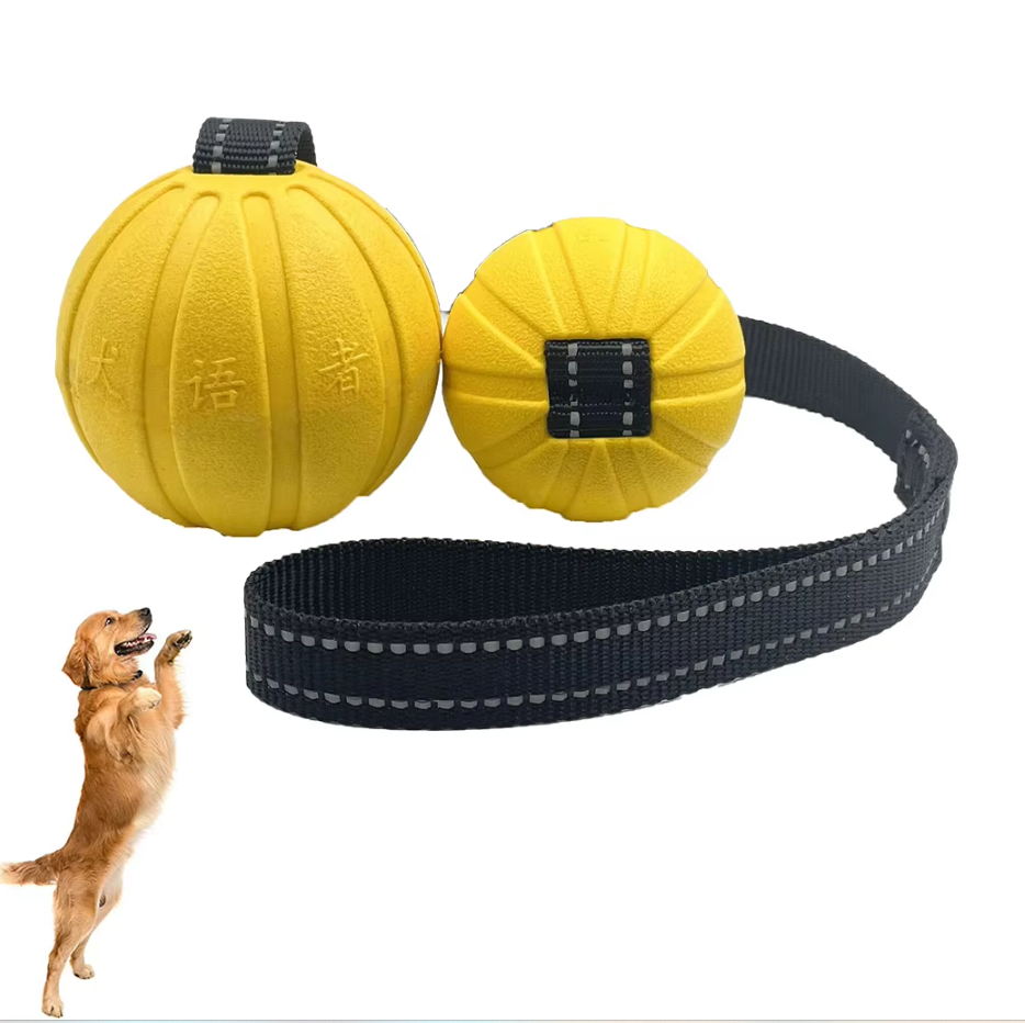 Interaktives Beiß-Trainingsspielzeug Für Hunde – Robuster Zerrball