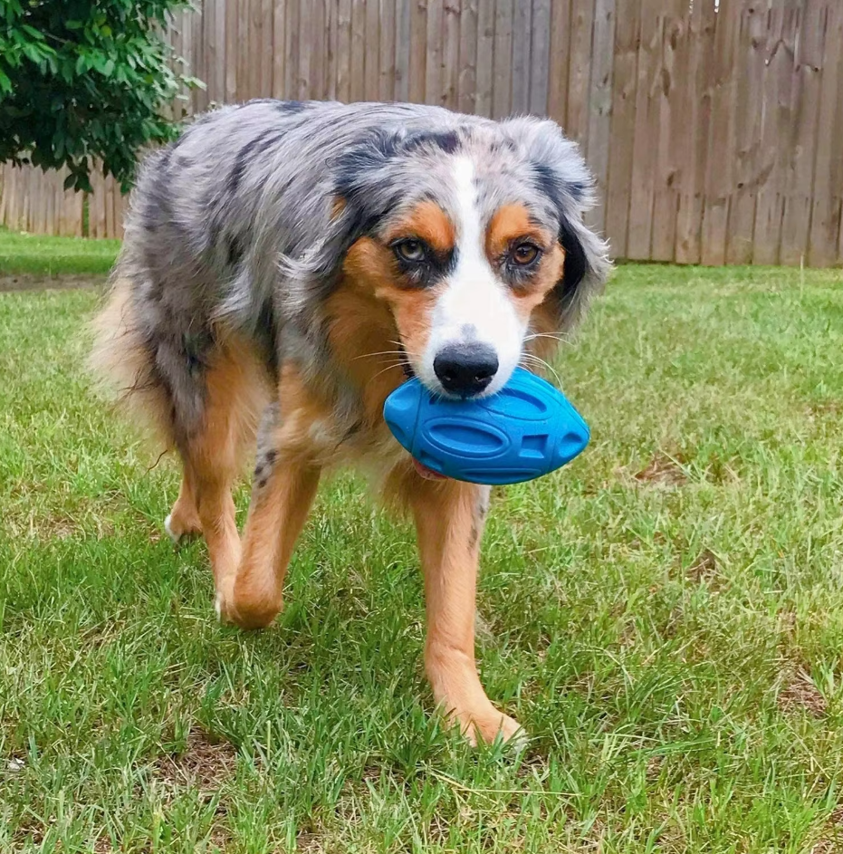 Wurf- Und Kauspielzeug Für Hunde – Robuster Gummi-football