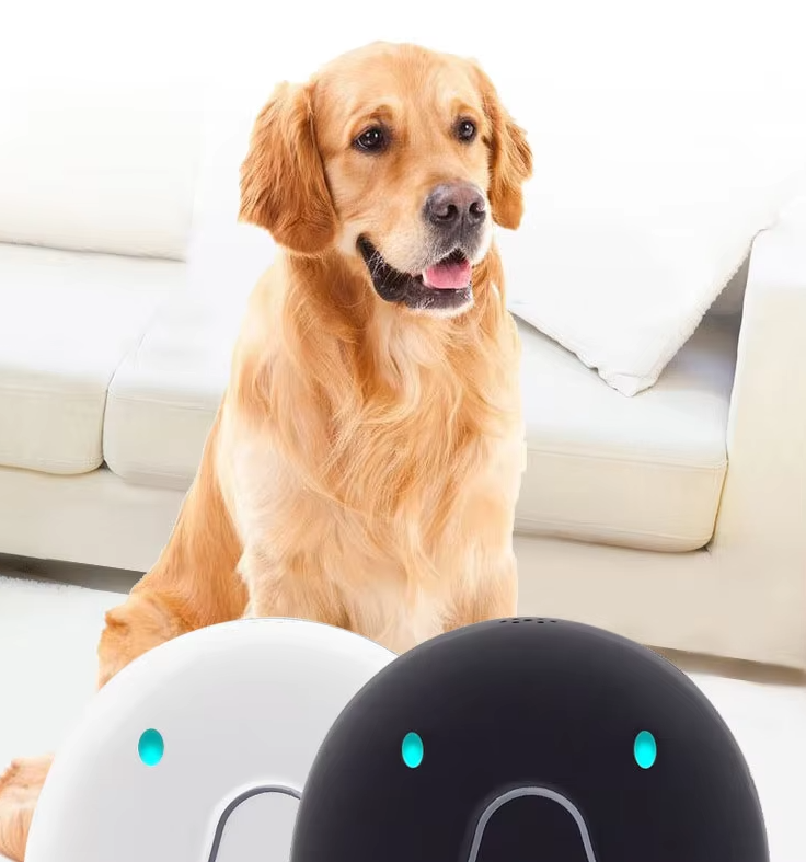 Hundehalsband mit GPS-Tracker – Einfach zu Befestigen und Zuverlässig