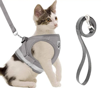 Katzengeschirr mit Leine