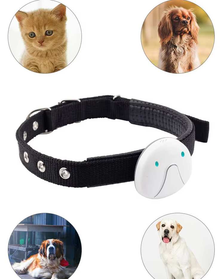 Hundehalsband mit GPS-Tracker – Einfach zu Befestigen und Zuverlässig