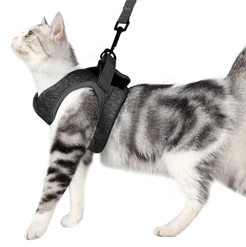 Katzen-Geschirr mit Leine