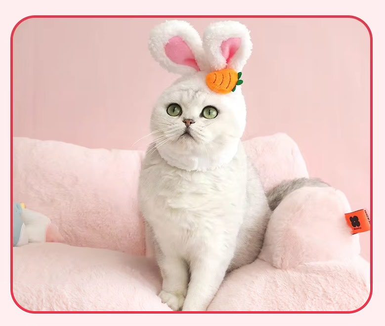 Süße Hasenohren-Katzenmütze mit Karotten- Oder Blumen-Design für Niedliche Haustierfotos