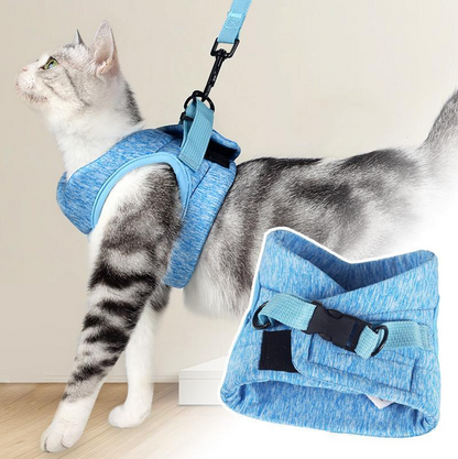 Katzen-Geschirr mit Leine