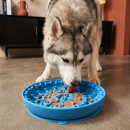 Anti-Schlingnapf für Hunde – Schleckmatte aus lebensmittelechtem Silikon mit Saugnäpfen