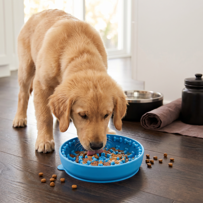 Anti-Schlingnapf für Hunde – Schleckmatte aus lebensmittelechtem Silikon mit Saugnäpfen