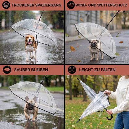 Transparenter Hunde Regenschirm mit Leine für kleine Hunde