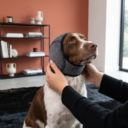 Schutz-Ohrenschützer für Hunde – geräuschdämpfend und angstmindernd