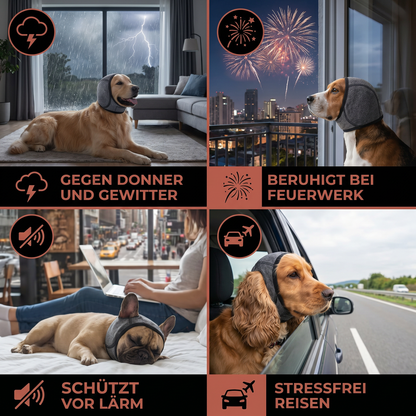 Schutz-Ohrenschützer für Hunde – geräuschdämpfend und angstmindernd