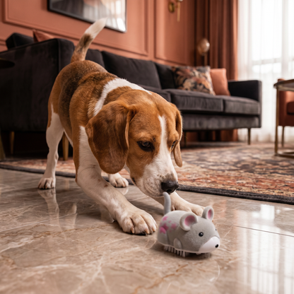 Interaktiver Hamster Indoor Hundespielzeug