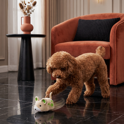 Interaktiver Hamster Indoor Hundespielzeug