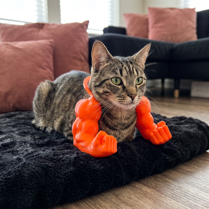 Muskelarm Katzenkostüm mit Geschirr für Lustige Fotos und Verkleidung