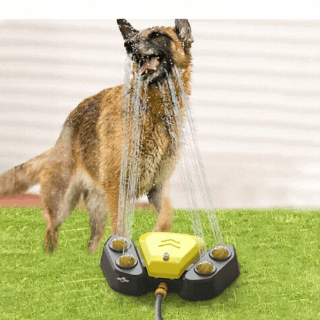 Sprinkler-Spielzeug für Haustiere – Interaktive Wasserstrahl-Dusche für Hunde