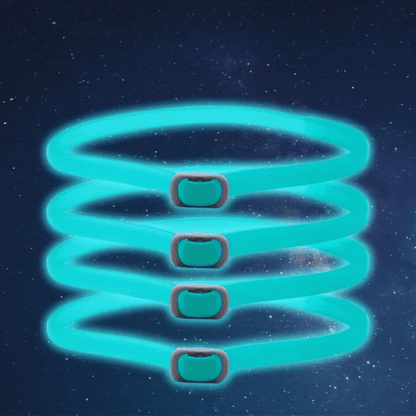 Leuchtendes Floh- und Zeckenhalsband für Katzen und Kleine Hunde – Wasserfest mit 8 Monate Schutz