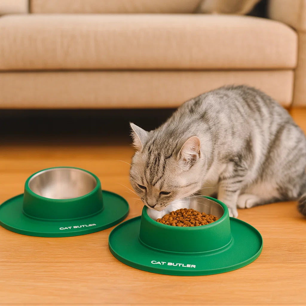 Rutschfeste und Auslaufsichere Edelstahl Futter Schüssel für Katzen